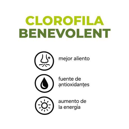 Clorofila Benevolent X 60 Ml