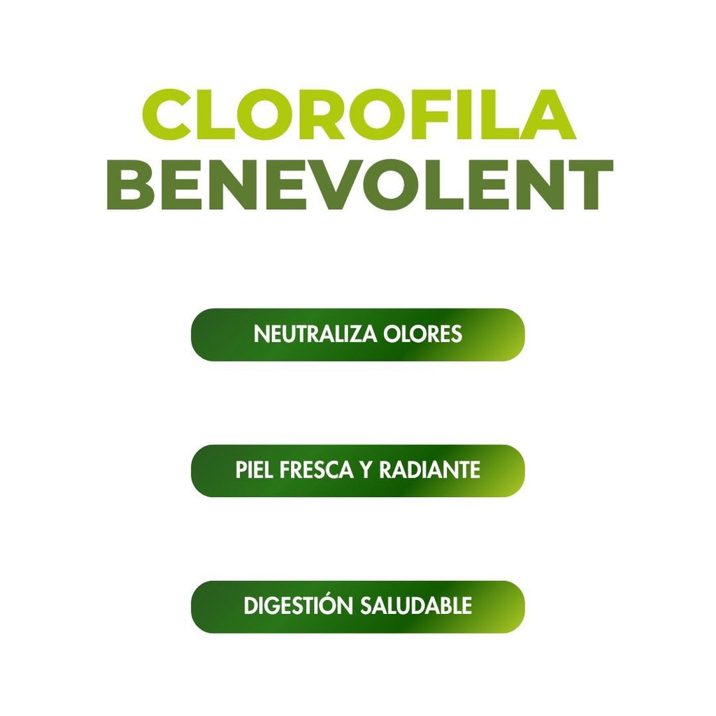 Clorofila Benevolent X 60 Ml